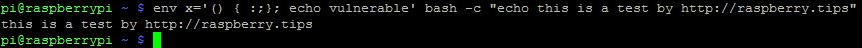bash-shell-output-fixed