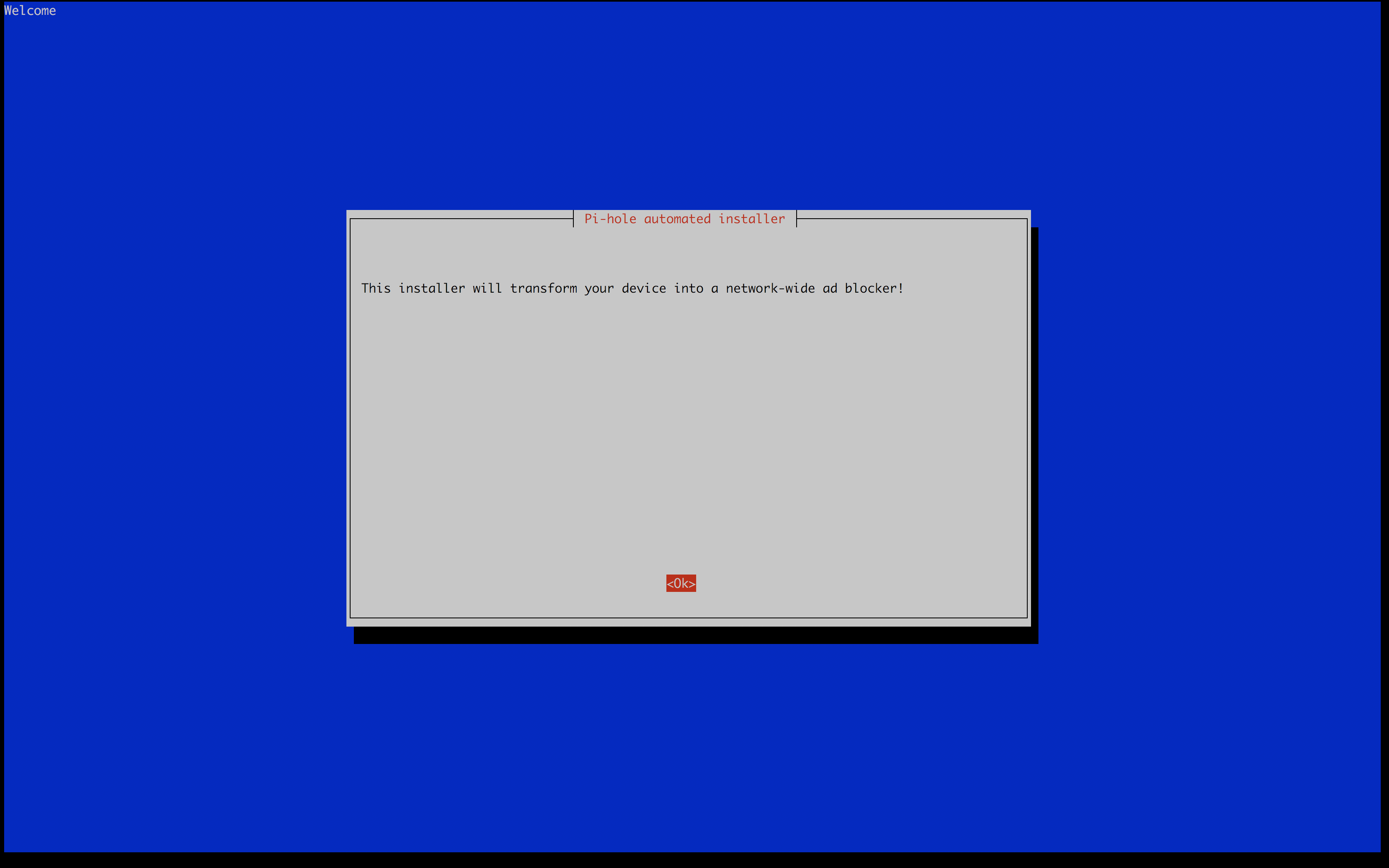 Pi-hole Installer erster Schritt